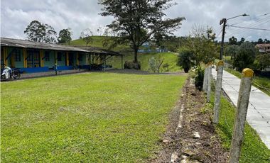 VENDO FINCA GANADERA EN ARABIA, CERCA DE PEREIRA