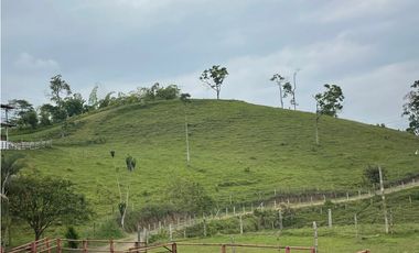 VENDO FINCA GANADERA EN ARABIA, CERCA DE PEREIRA