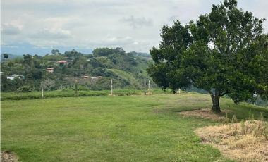 VENDO FINCA GANADERA EN ARABIA, CERCA DE PEREIRA