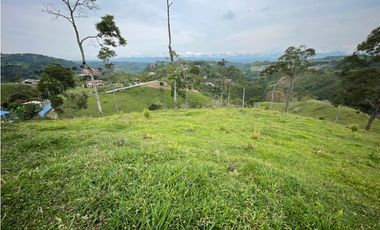 VENDO FINCA GANADERA EN ARABIA, CERCA DE PEREIRA