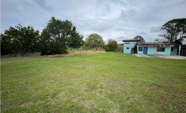 VENDO FINCA GANADERA EN ARABIA, CERCA DE PEREIRA