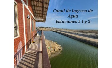 Camaronera en Venta – 41.72 Ha – Chanduy Santa Elena