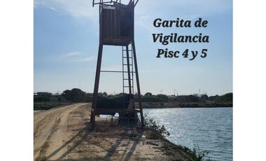 Camaronera en Venta – 41.72 Ha – Chanduy Santa Elena