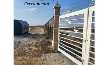 Camaronera en Venta – 41.72 Ha – Chanduy Santa Elena