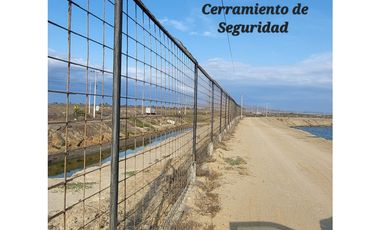 Camaronera en Venta – 41.72 Ha – Chanduy Santa Elena