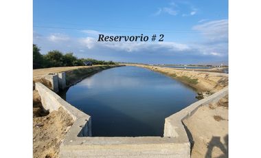 Camaronera en Venta – 41.72 Ha – Chanduy Santa Elena