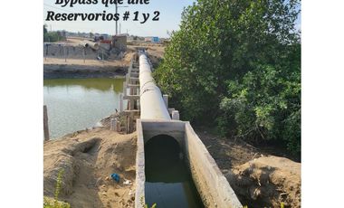 Camaronera en Venta – 41.72 Ha – Chanduy Santa Elena