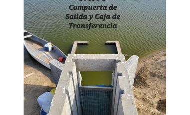 Camaronera en Venta – 41.72 Ha – Chanduy Santa Elena