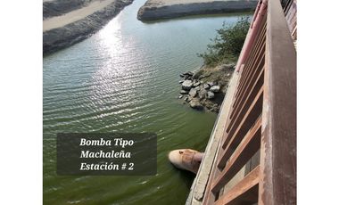 Camaronera en Venta – 41.72 Ha – Chanduy Santa Elena