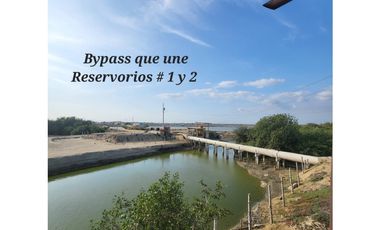 Camaronera en Venta – 41.72 Ha – Chanduy Santa Elena