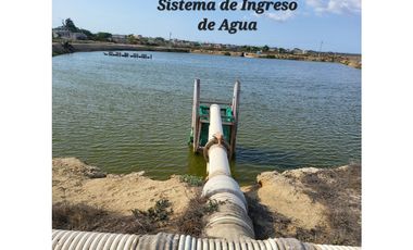 Camaronera en Venta – 41.72 Ha – Chanduy Santa Elena