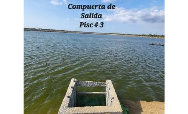 Camaronera en Venta – 41.72 Ha – Chanduy Santa Elena