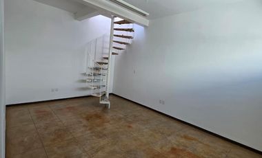 VENTA BODEGA COMERCIAL A UNA CUADRA DEL JARDIN DE SAN MARCOS BI
