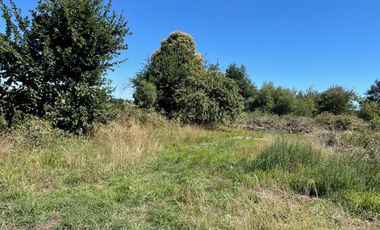 LINDO TERRENO DE 5000 MT EN SECTOR ROFUCO BAJO RIO BUENO