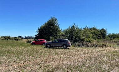 LINDO TERRENO DE 5000 MT EN SECTOR ROFUCO BAJO RIO BUENO