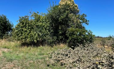 LINDO TERRENO DE 5000 MT EN SECTOR ROFUCO BAJO RIO BUENO