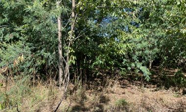 LINDO TERRENO DE 5000 MT EN SECTOR ROFUCO BAJO RIO BUENO