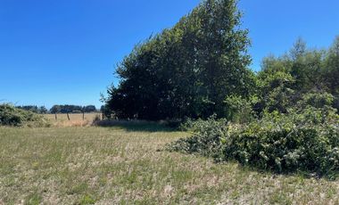 LINDO TERRENO DE 5000 MT EN SECTOR ROFUCO BAJO RIO BUENO