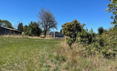 LINDO TERRENO DE 5000 MT EN SECTOR ROFUCO BAJO RIO BUENO