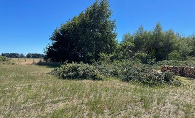 LINDO TERRENO DE 5000 MT EN SECTOR ROFUCO BAJO RIO BUENO