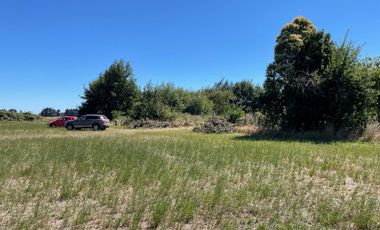 LINDO TERRENO DE 5000 MT EN SECTOR ROFUCO BAJO RIO BUENO