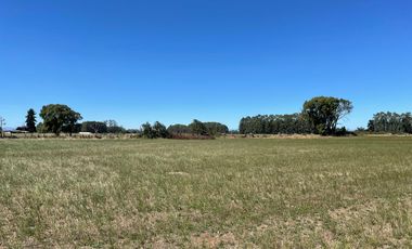 LINDO TERRENO DE 5000 MT EN SECTOR ROFUCO BAJO RIO BUENO