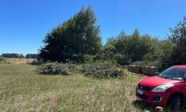 LINDO TERRENO DE 5000 MT EN SECTOR ROFUCO BAJO RIO BUENO