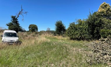 LINDO TERRENO DE 5000 MT EN SECTOR ROFUCO BAJO RIO BUENO