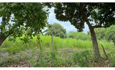 VENTA! LOTE EN BALBN Y ZANNI