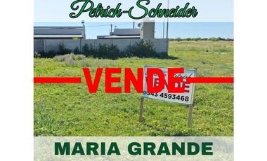 Se venden 4 lotes en Maria Grande