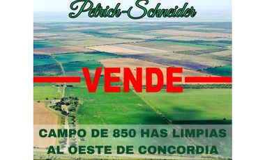 Se vende campo al oeste de Concordia Entre Ríos