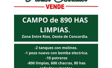Se vende campo al oeste de Concordia Entre Ríos