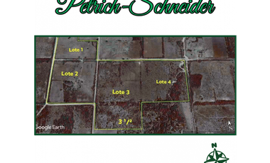 Se vende campo en la paz, 50 has con 35 de chacra