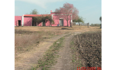 Se vende campo en la paz, 50 has con 35 de chacra