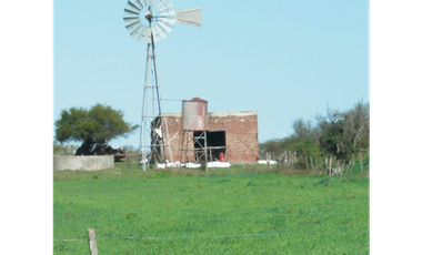Se vende campo en la paz, 50 has con 35 de chacra