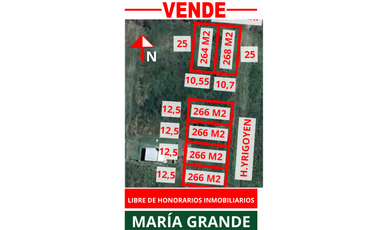 Se vende Lotes en María Grande