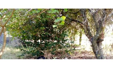 Se vende casa en el Pingo, Entre Rios