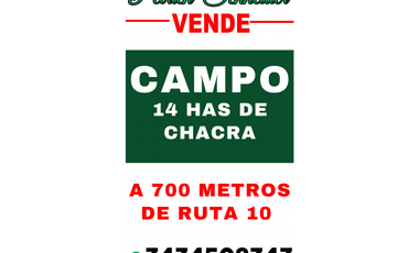 Se vende campo a 700 metros de ruta 10