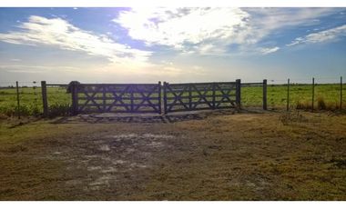 Se Vende Campo de 25 has, zona La Paz