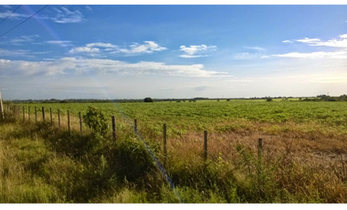 Se Vende Campo de 25 has, zona La Paz