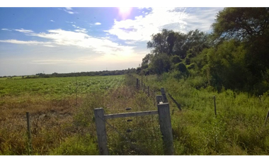 Se Vende Campo de 25 has, zona La Paz