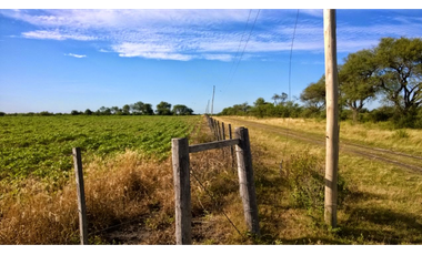 Se Vende Campo de 25 has, zona La Paz