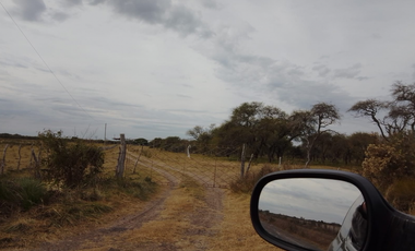 Se vende campo de 43 has Zona Alcaraz, dpto. Villaguay y Paraná