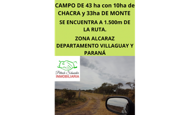Se vende campo de 43 has Zona Alcaraz, dpto. Villaguay y Paraná