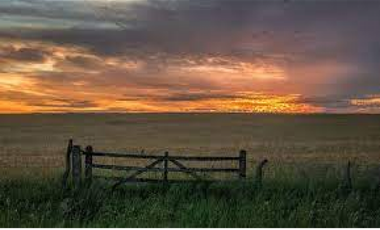 Se vende campo de 43 has Zona Alcaraz, dpto. Villaguay y Paraná