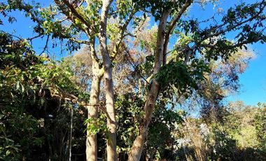 Parcela en venta  en QUILPUÉ