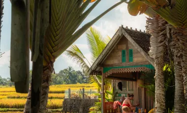 8 Bedroom Hotel for sale in Ubud, Bali