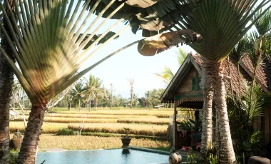 8 Bedroom Hotel for sale in Ubud, Bali