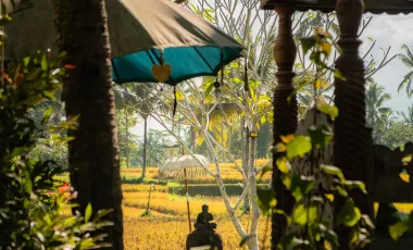 8 Bedroom Hotel for sale in Ubud, Bali