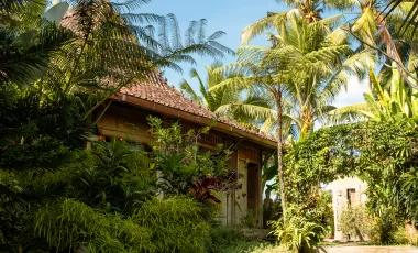 8 Bedroom Hotel for sale in Ubud, Bali